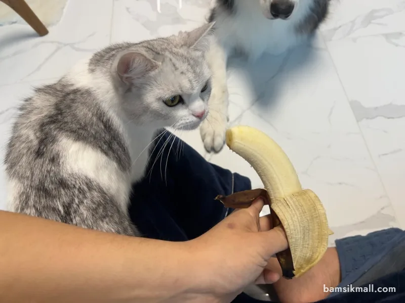 껍질을 벗긴 바나나의 과육 부분