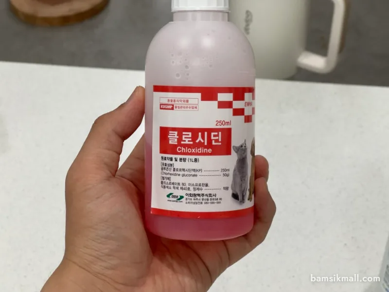 강아지 지간염 연고와 클로시딘 소독약 관리법