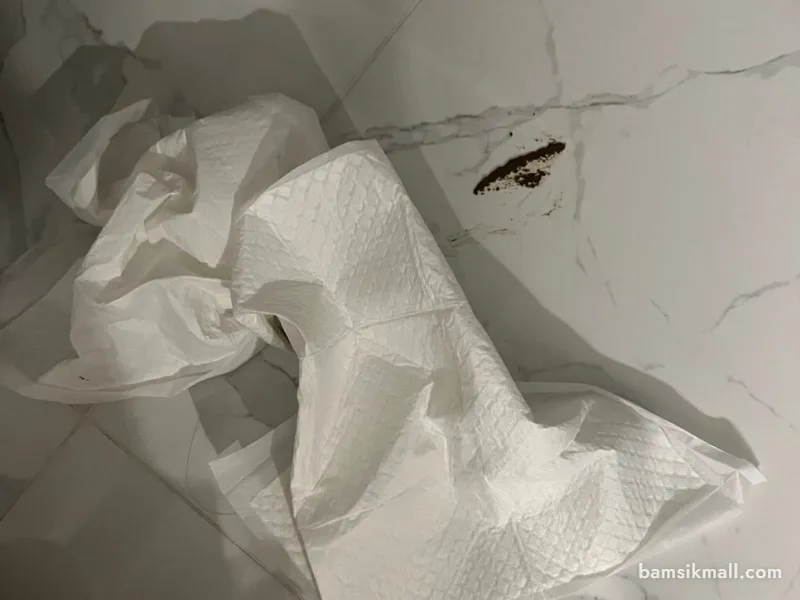2개월 강아지 훈련, 배변훈련과 사회화 시작하는 방법 관련 사진